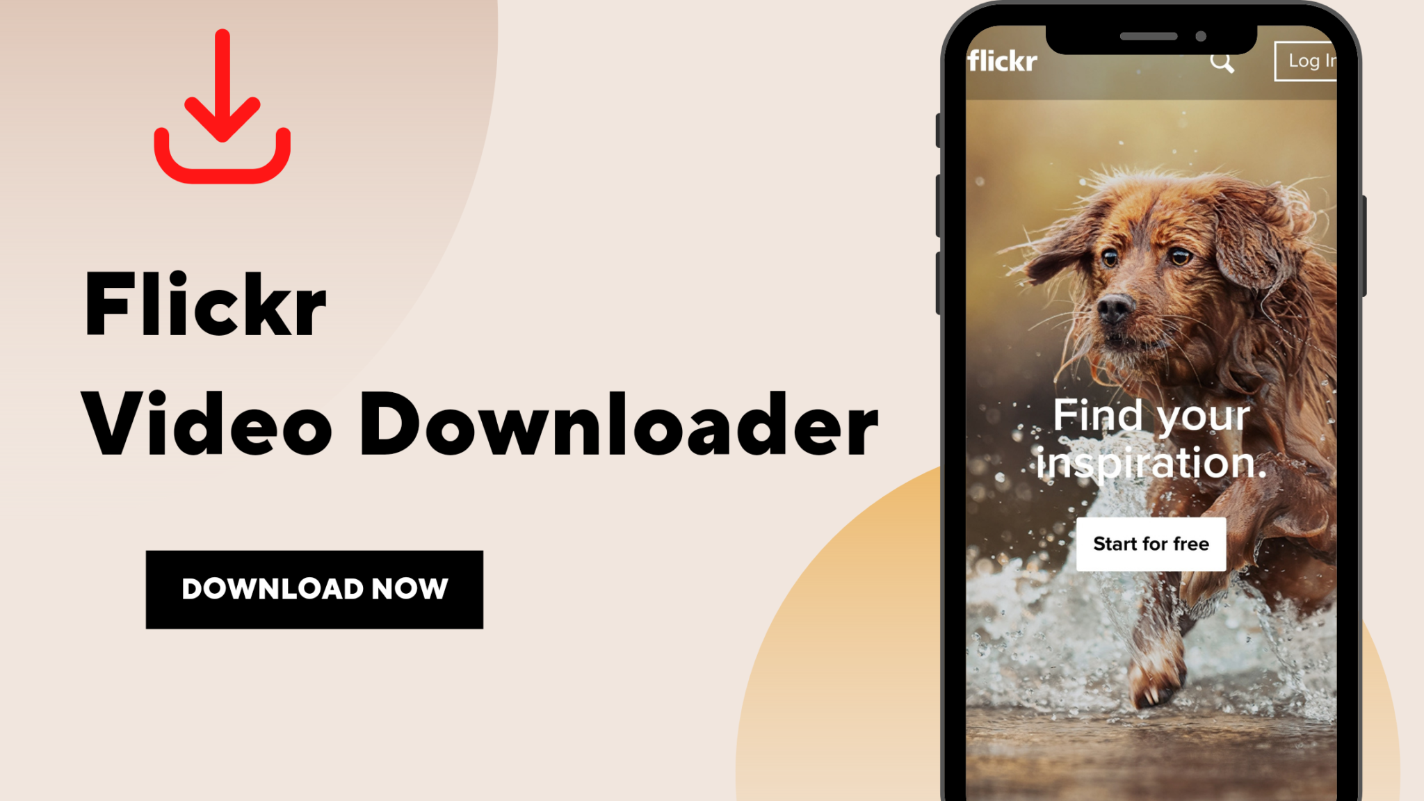 Flickr Video Downloader Video Downloader Guru